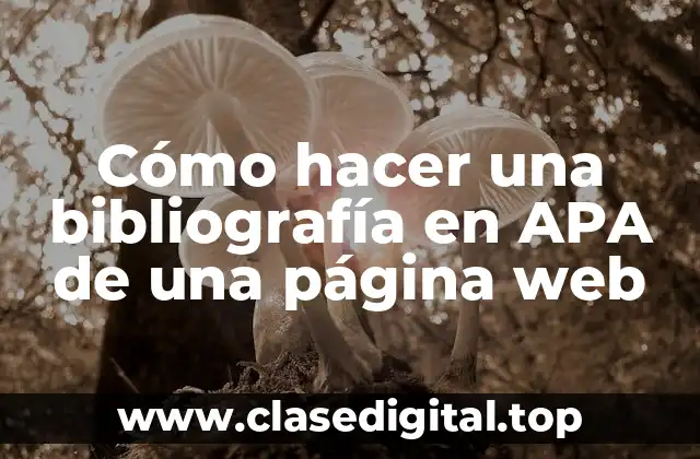 Cómo hacer una bibliografía en APA de una página web