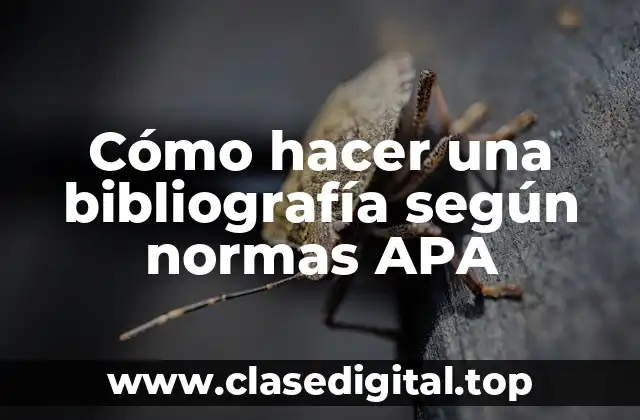 Cómo hacer una bibliografía según normas APA