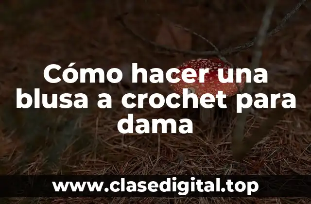 Cómo hacer una blusa a crochet para dama