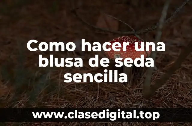 Como hacer una blusa de seda sencilla