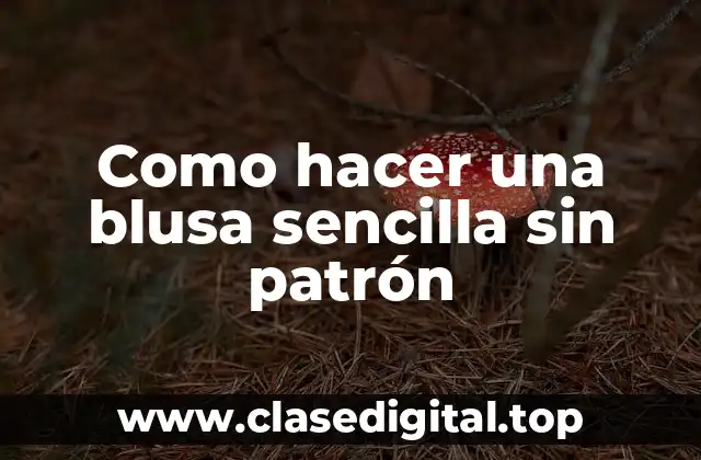 Como hacer una blusa sencilla sin patrón