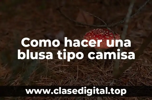 Como hacer una blusa tipo camisa