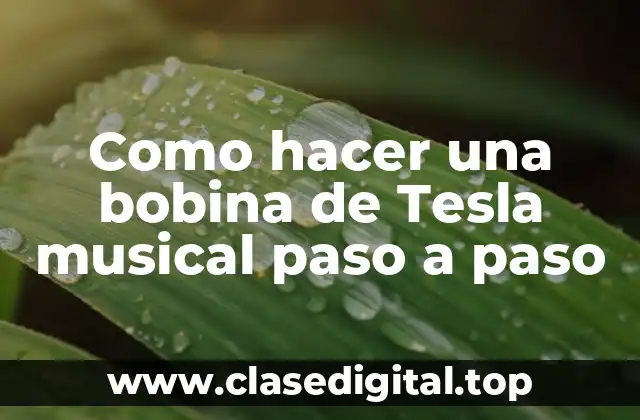 La bobina de Tesla musical: ¿qué es y para qué sirve?