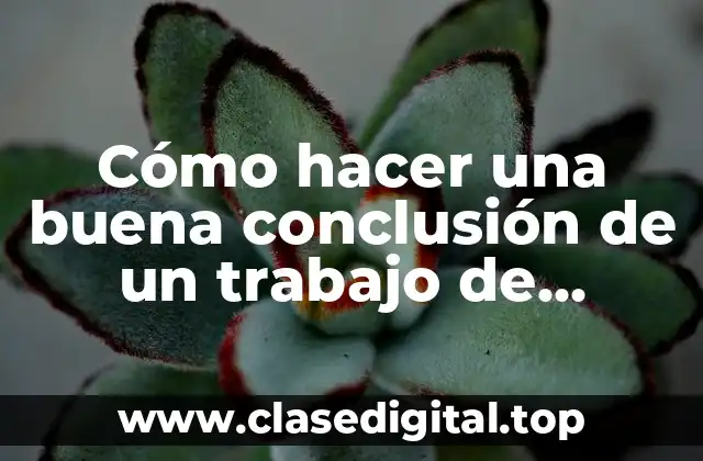 Cómo hacer una buena conclusión de un trabajo de investigación