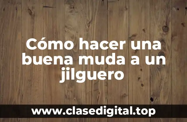 Cómo hacer una buena muda a un jilguero