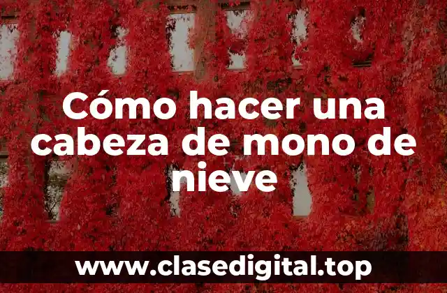 ¿Qué es una cabeza de mono de nieve y cómo se hace?