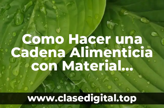 Como Hacer una Cadena Alimenticia con Material Reciclable