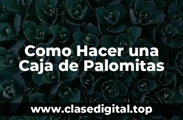 Como Hacer una Caja de Palomitas