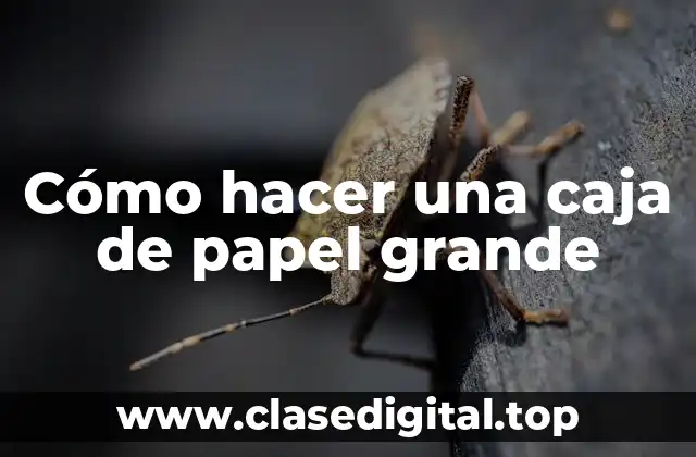 Cómo hacer una caja de papel grande