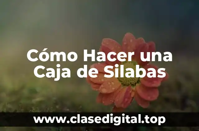 Cómo Hacer una Caja de Silabas
