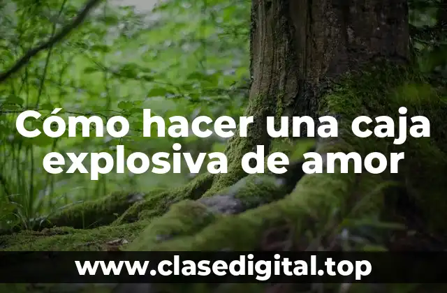 Cómo hacer una caja explosiva de amor