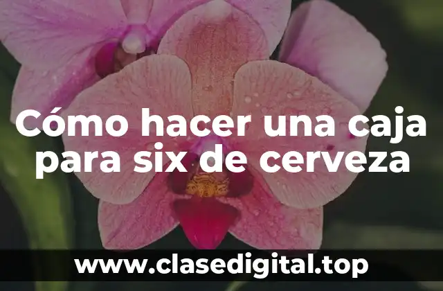 Cómo hacer una caja para six de cerveza