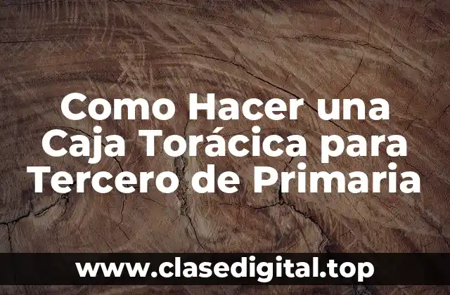 Como Hacer una Caja Torácica para Tercero de Primaria