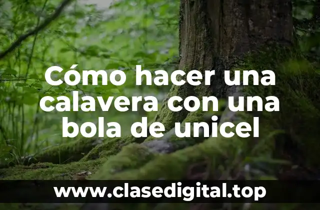 Cómo hacer una calavera con una bola de unicel