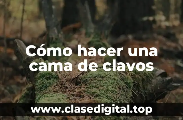 Cómo hacer una cama de clavos: Concepto y características