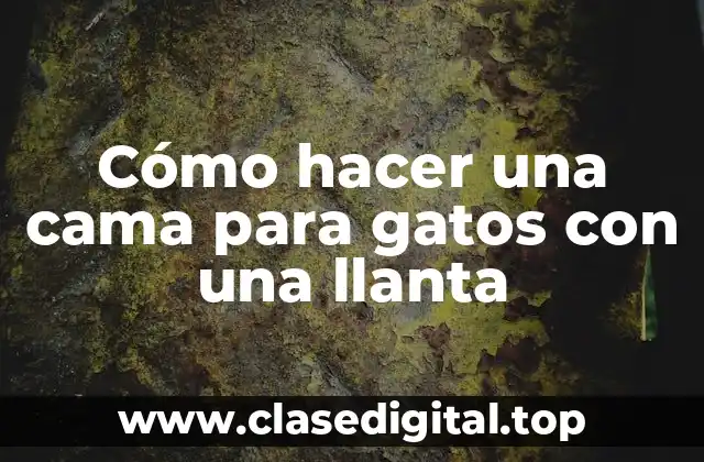 Cómo hacer una cama para gatos con una llanta