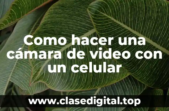 Como hacer una cámara de video con un celular
