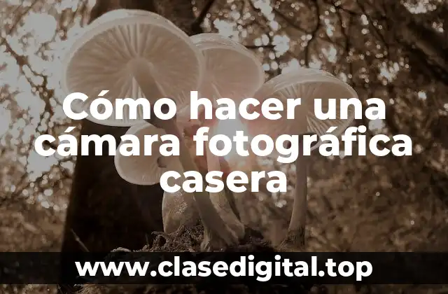 Cómo hacer una cámara fotográfica casera