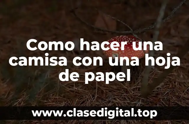 Como hacer una camisa con una hoja de papel
