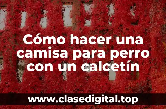 Cómo hacer una camisa para perro con un calcetín