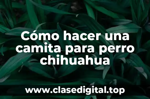Cómo hacer una camita para perro chihuahua