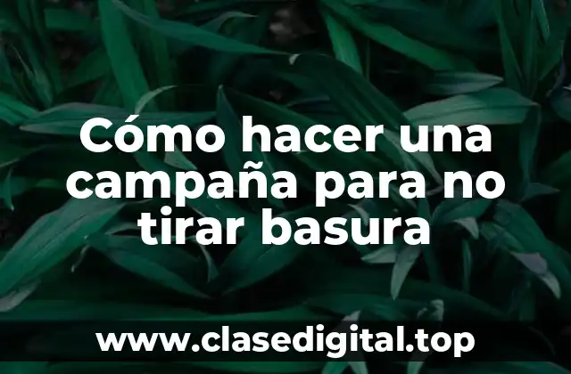 Cómo hacer una campaña para no tirar basura