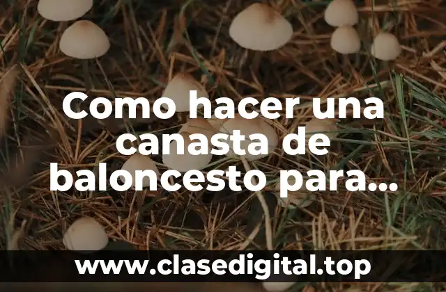 Como hacer una canasta de baloncesto para niños