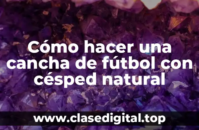 Cómo hacer una cancha de fútbol con césped natural