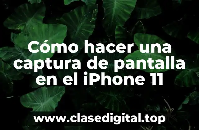Captura de pantalla en el iPhone 11