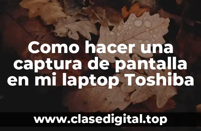 Como hacer una captura de pantalla en mi laptop Toshiba