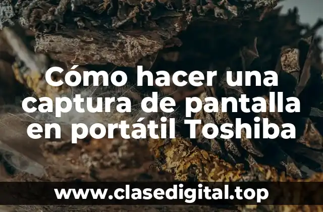 Cómo hacer una captura de pantalla en portátil Toshiba