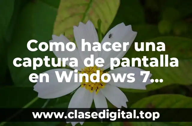 Como hacer una captura de pantalla en Windows 7 Starter