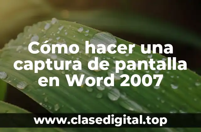Cómo hacer una captura de pantalla en Word 2007