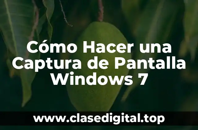 Cómo Hacer una Captura de Pantalla Windows 7