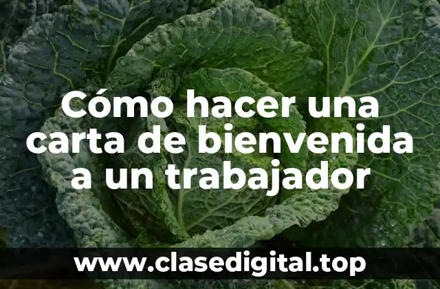 ¿Qué es una carta de bienvenida a un trabajador?