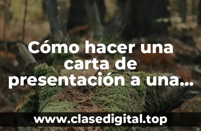 Cómo hacer una carta de presentación a una empresa que impresione