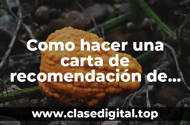 Como hacer una carta de recomendación de trabajo ejemplo