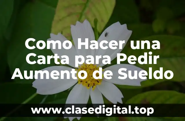 Como Hacer una Carta para Pedir Aumento de Sueldo