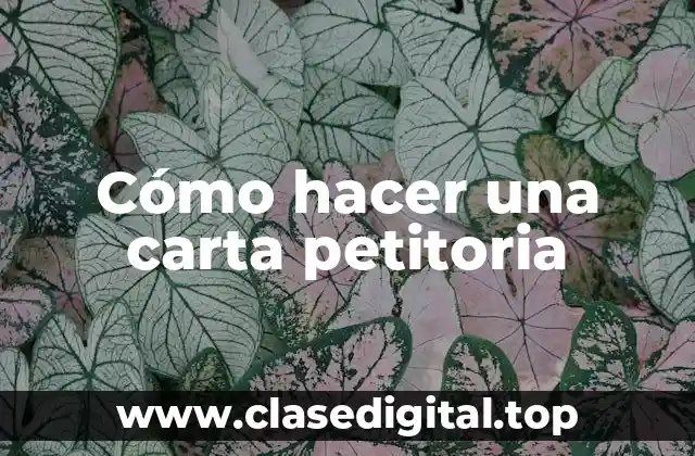 Cómo hacer una carta petitoria