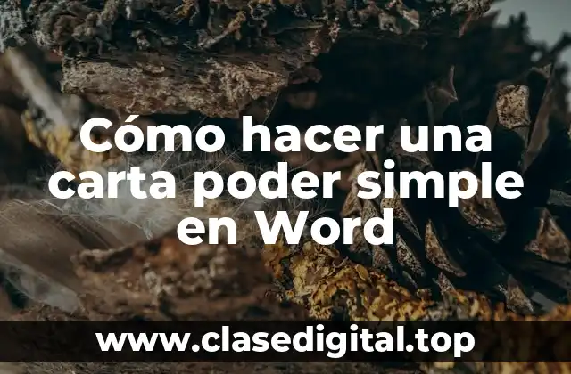 ¿Qué es una carta poder simple en Word?