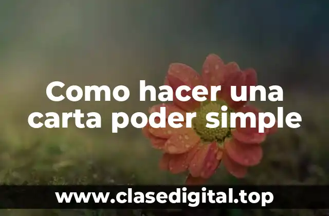 Como hacer una carta poder simple
