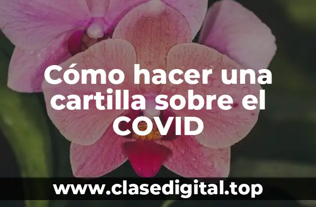Cómo hacer una cartilla sobre el COVID