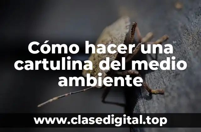 Cómo hacer una cartulina del medio ambiente