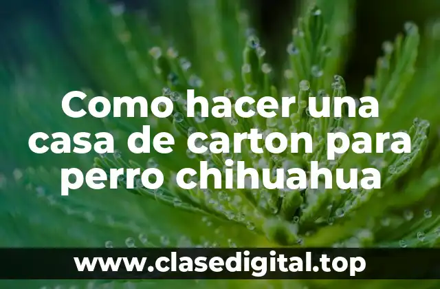 Como hacer una casa de carton para perro chihuahua