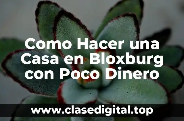 Como Hacer una Casa en Bloxburg con Poco Dinero