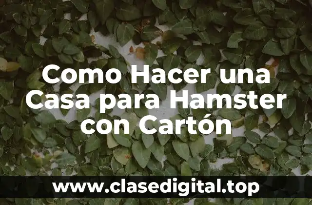 Como Hacer una Casa para Hamster con Cartón