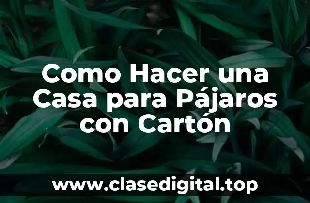 ¿Qué es una Casa para Pájaros con Cartón?
