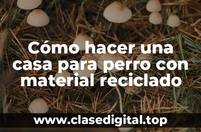 Cómo hacer una casa para perro con material reciclado