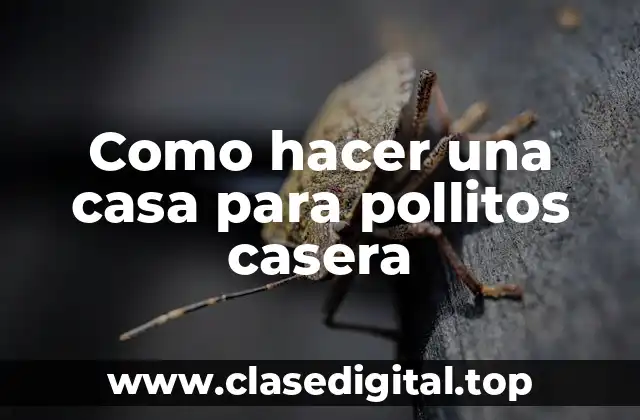 Como hacer una casa para pollitos casera