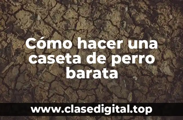 Cómo hacer una caseta de perro barata